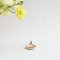 Misuzu Ishigami 石神美鈴 Animal Deco Mini Plate MIS38