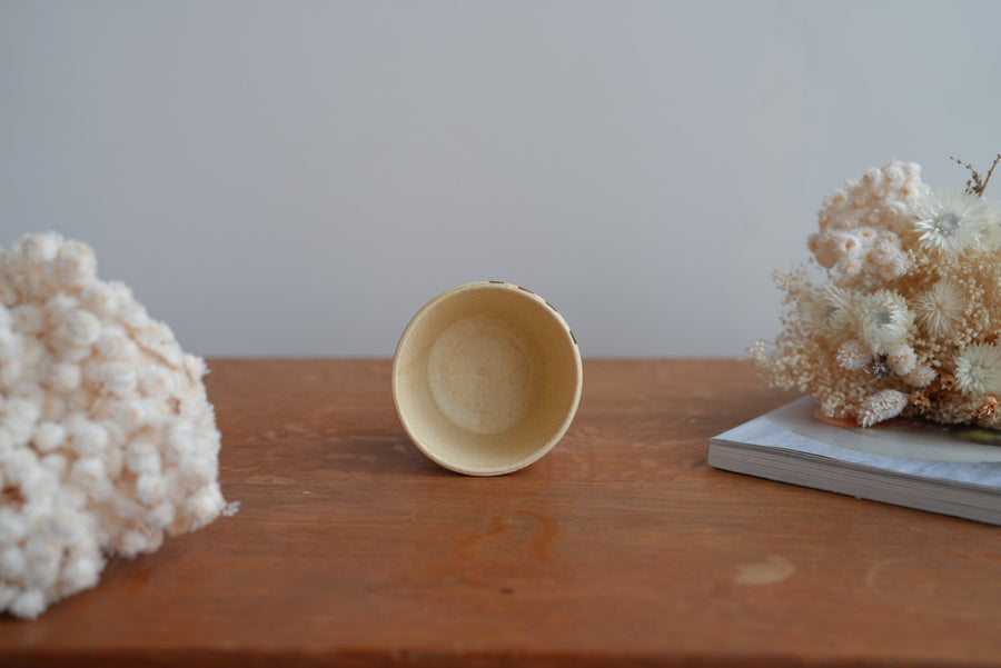 Shoko Hirano 平野照子 Cat Cup SR02 #4