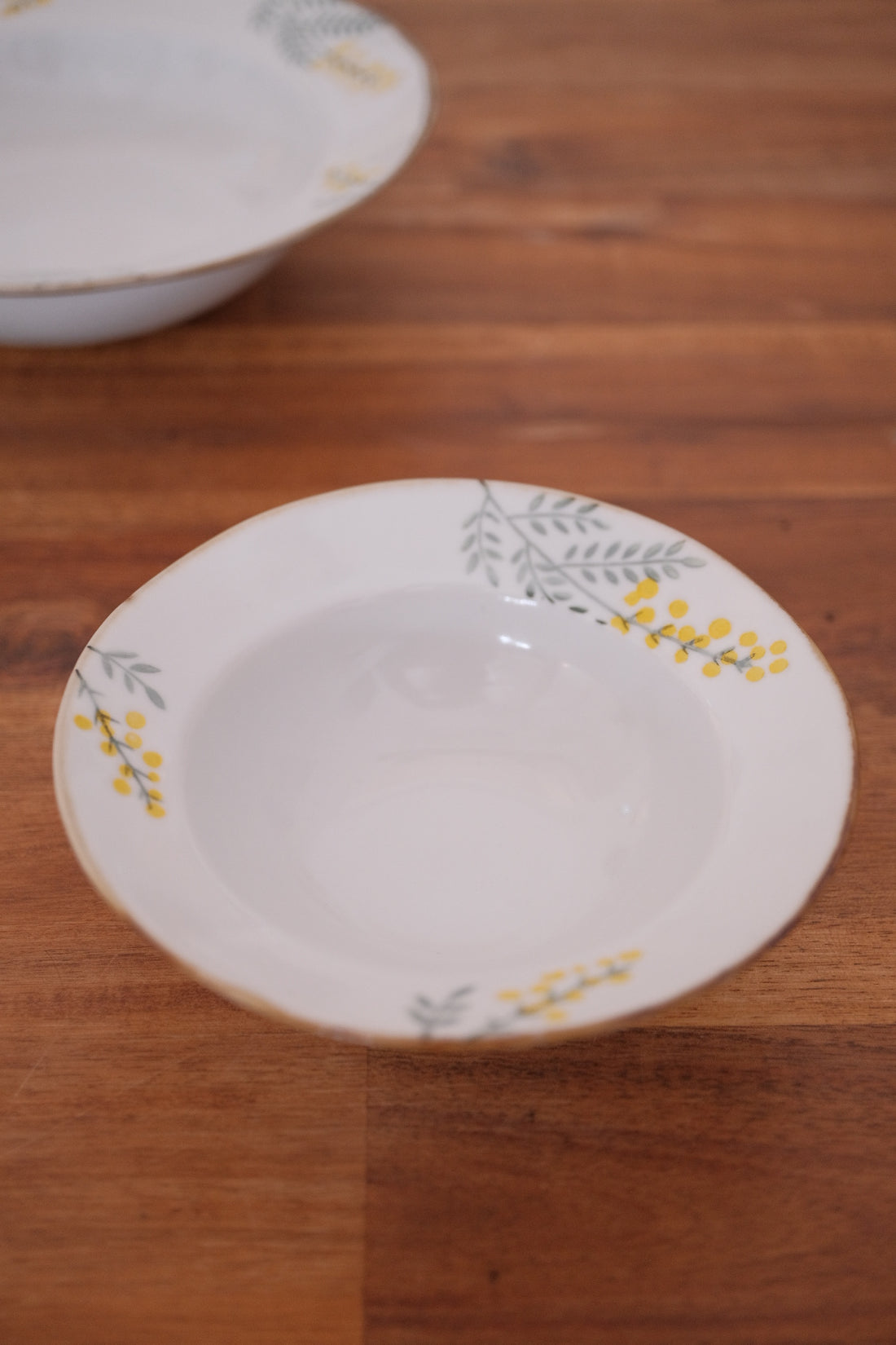 Mimosa Hasami Ware Dinnerware Collection