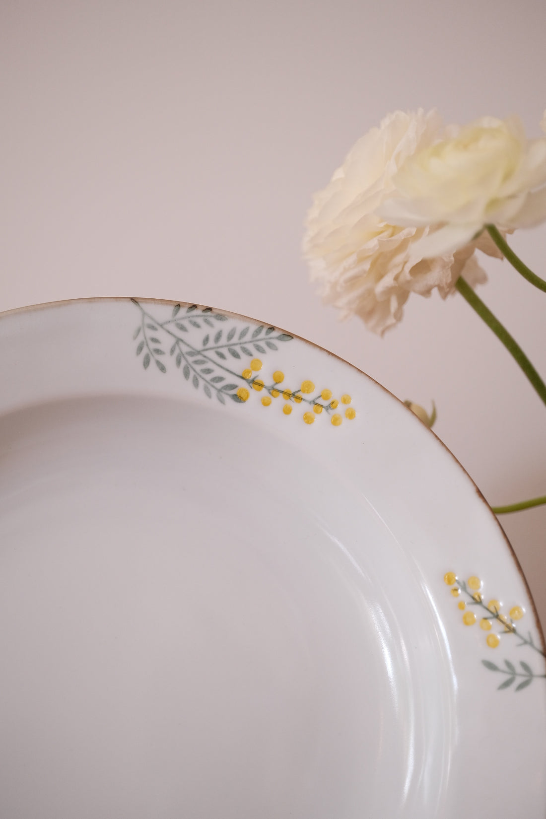 Mimosa Hasami Ware Dinnerware Collection