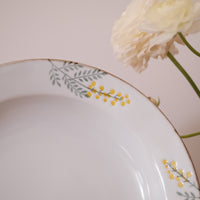 Mimosa Hasami Ware Dinnerware Collection