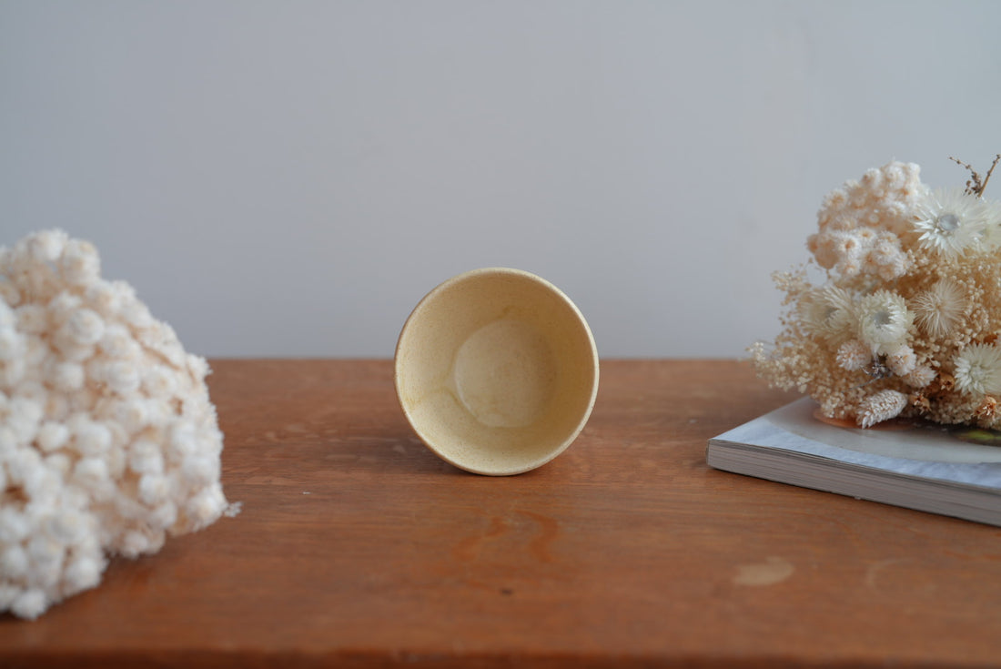 Shoko Hirano 平野照子 Cat Cup SR02 #1