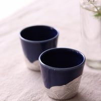 Mino Ware Ceramic Sake Carafe and Cup