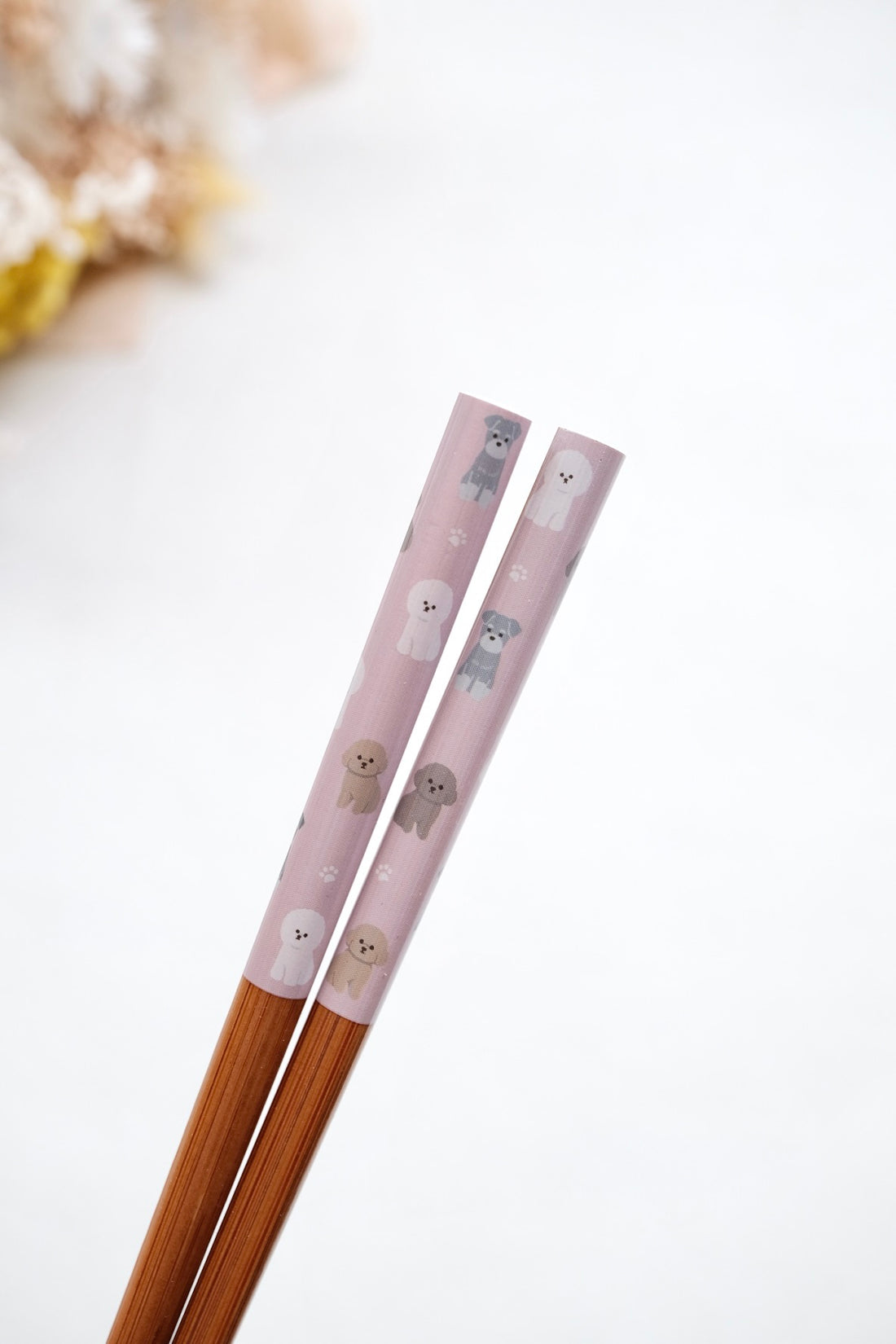 Japanese Chopstick Cute Animal Collection 22.5 cm