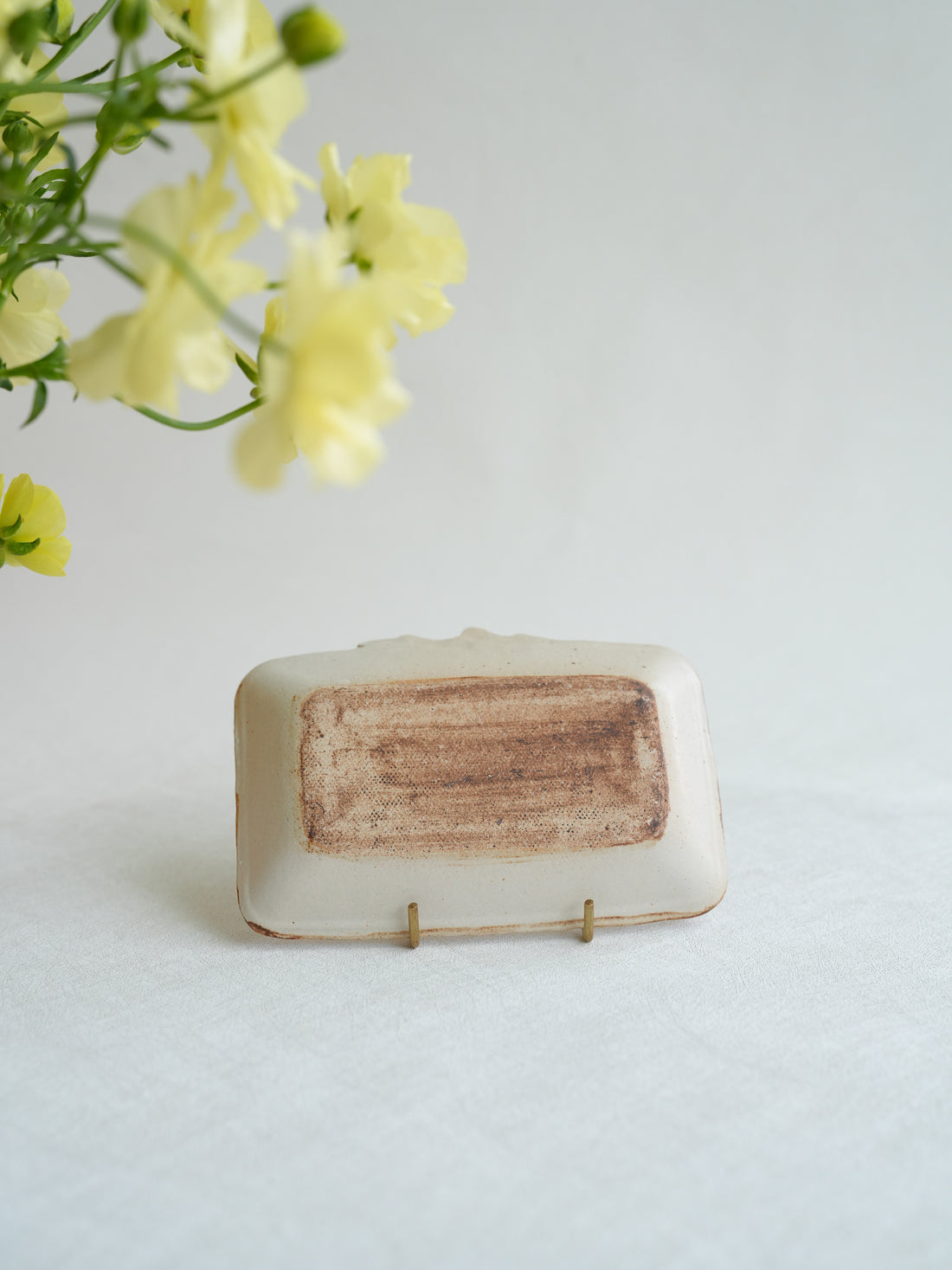 Misuzu Ishigami 石神美鈴 Animal Rectangle Plate MIS01