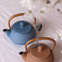 IWACHU Iron Teapot - Golden Yellow