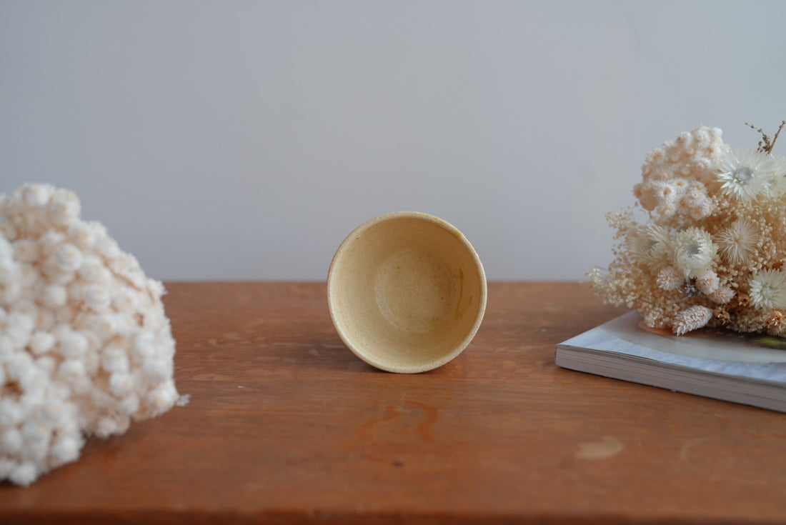 Shoko Hirano 平野照子 Cat Cup SR02 #2