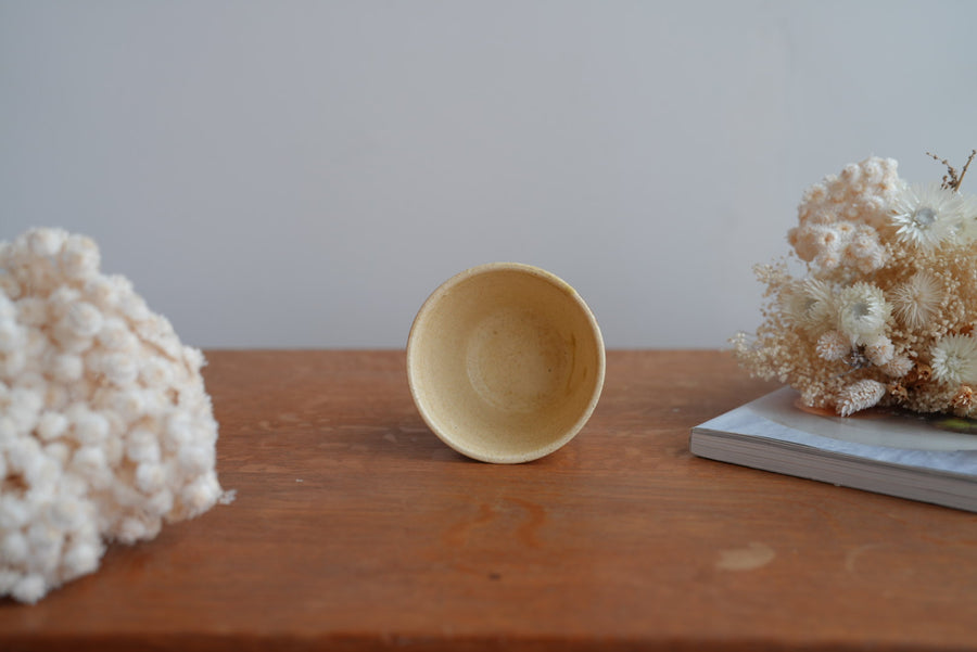 Shoko Hirano 平野照子 Cat Cup SR02 #2