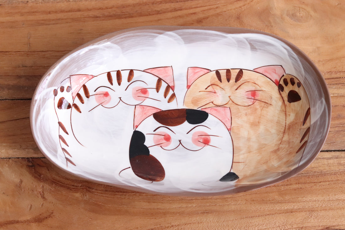 Hasami Arita ware Friendly Cat Curry Plates Oval Cat