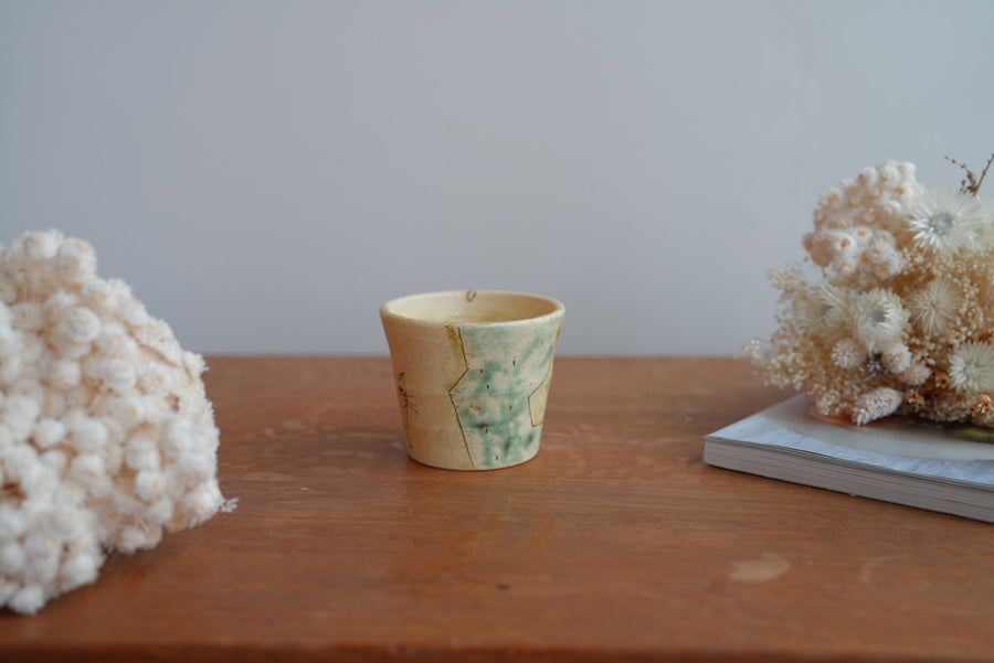 Shoko Hirano 平野照子 Cat Cup SR02 #7