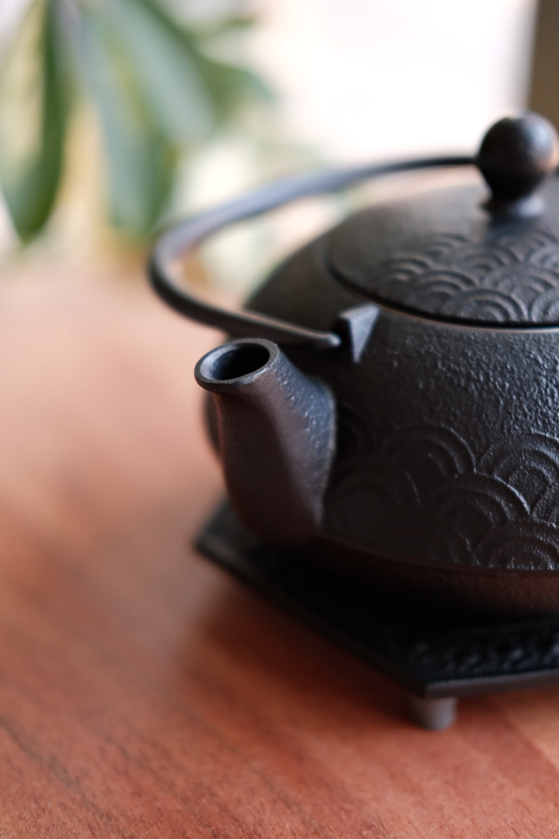 IWACHU Iron Kyusu Teapot