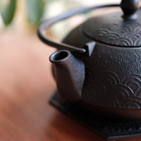 IWACHU Iron Kyusu Teapot