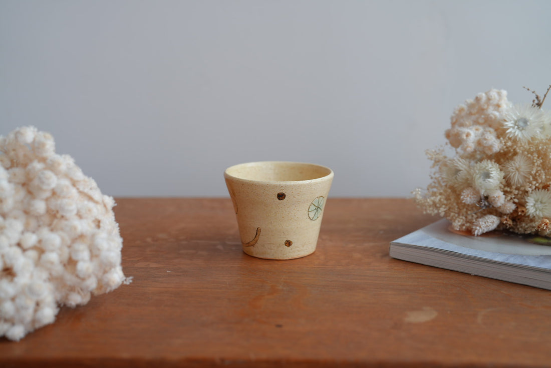 Shoko Hirano 平野照子 Cat Cup SR02 #1