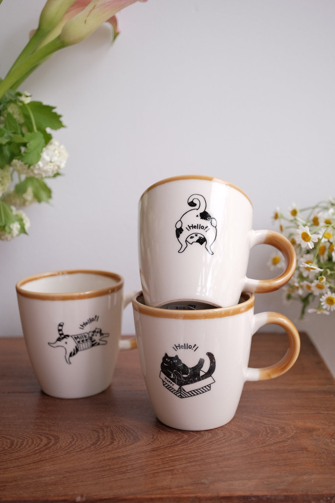 Kakuni Minoware Cat Mug