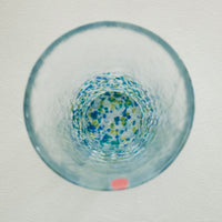 Tsugaru Vidro Japanese Colors Tumbler