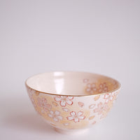 Taki Tomoda 友田多紀 Cherry Blossoms Matcha Bowl  - TT11