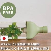 Hario Filter in Ka-ku Cold Brew Tea Bottle