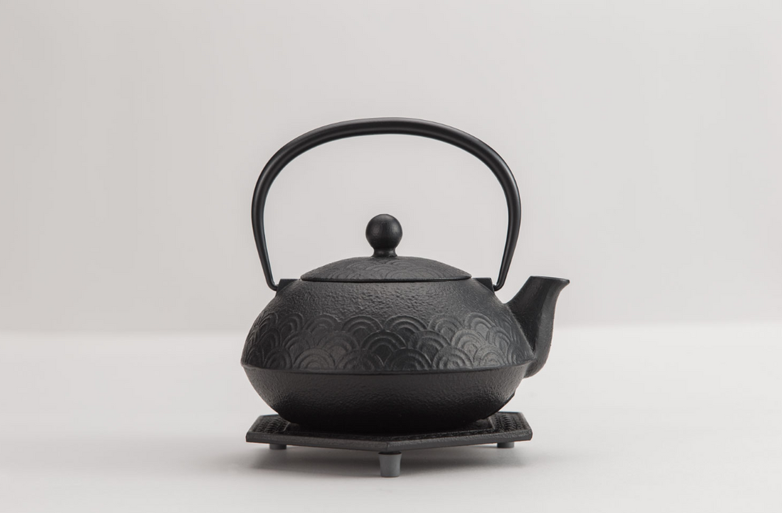 IWACHU Iron Kyusu Teapot