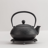 IWACHU Iron Kyusu Teapot