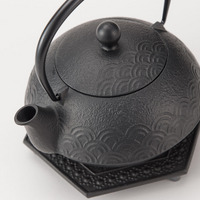 IWACHU Iron Kyusu Teapot