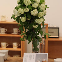 Kasumi Fujimura White Ceramic tea pot(tyatubo)