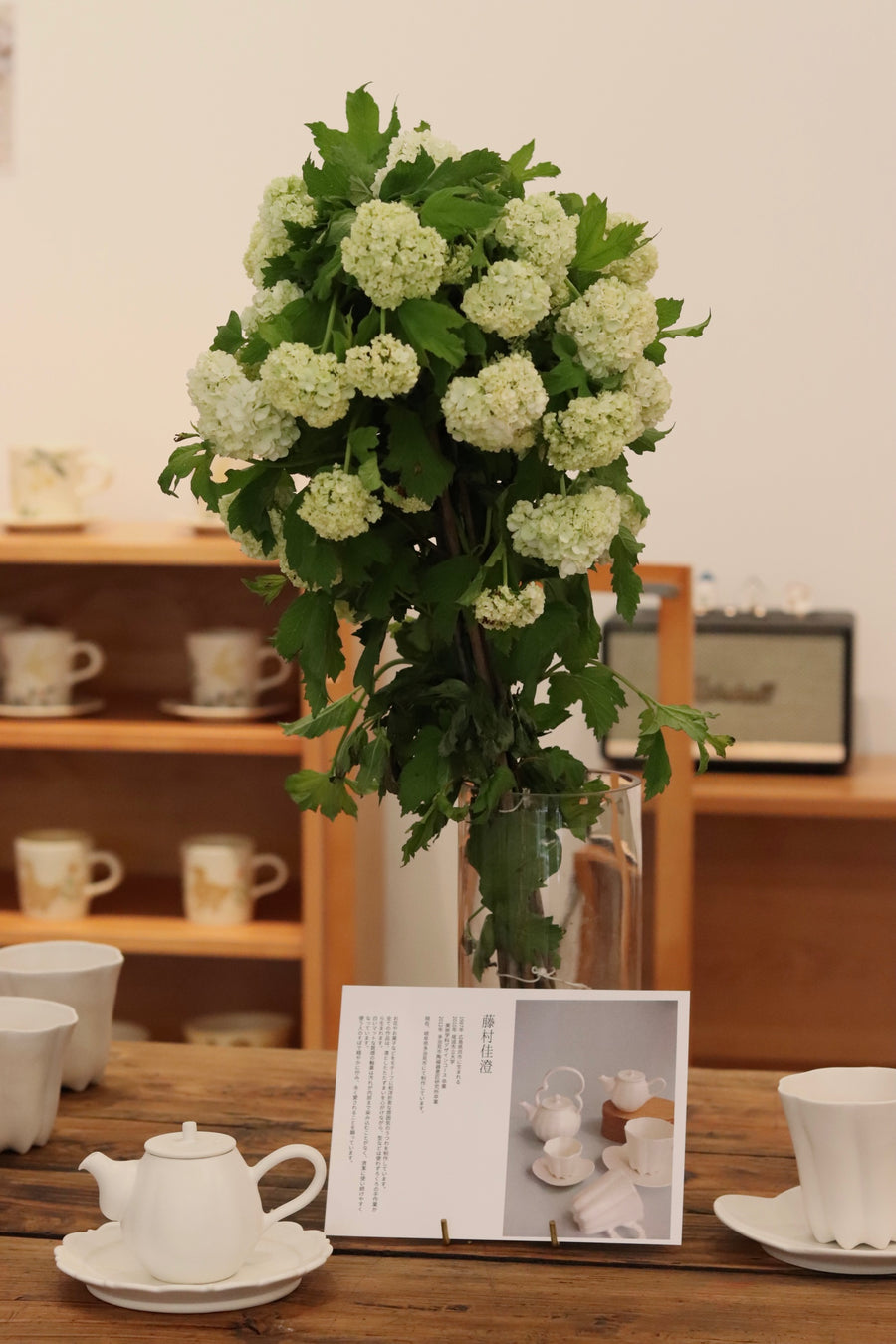 Kasumi Fujimura White Ceramic tea pot(tyatubo)