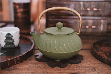 IWACHU Iron Kyusu Teapot Wave Pattern -Tsurugane