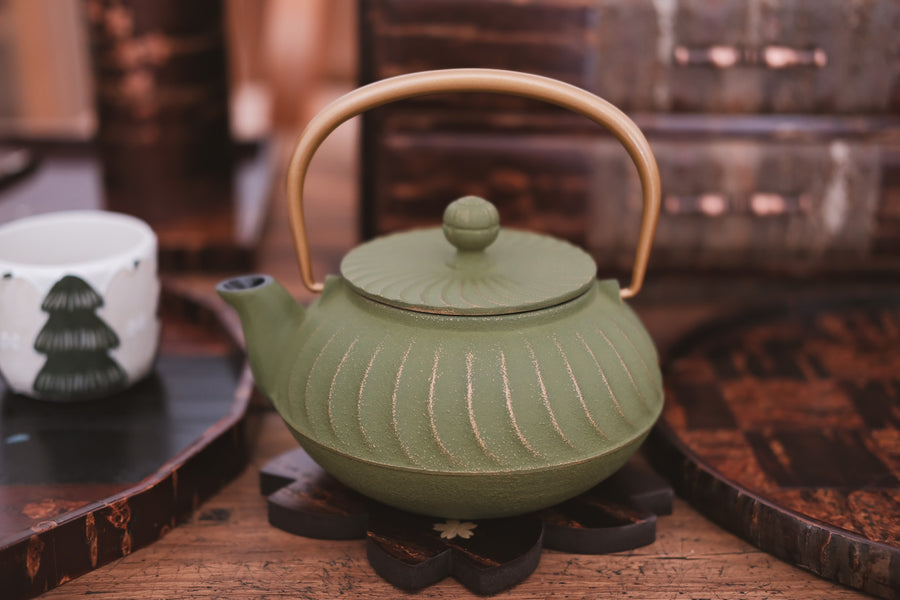 IWACHU Iron Kyusu Teapot Wave Pattern -Tsurugane