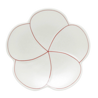 Arita Ware Red Line Plum Style Dish