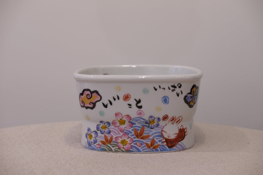 Slow Feeder Dog Bowl - Large